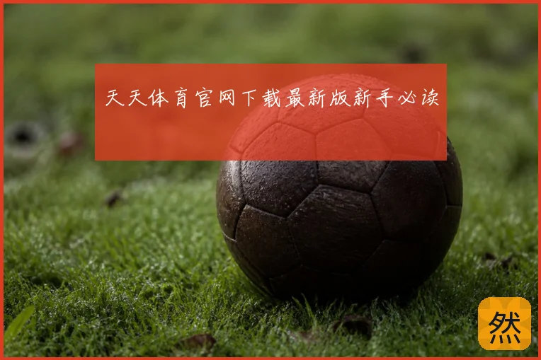 天天体育官网下载最新版新手必读